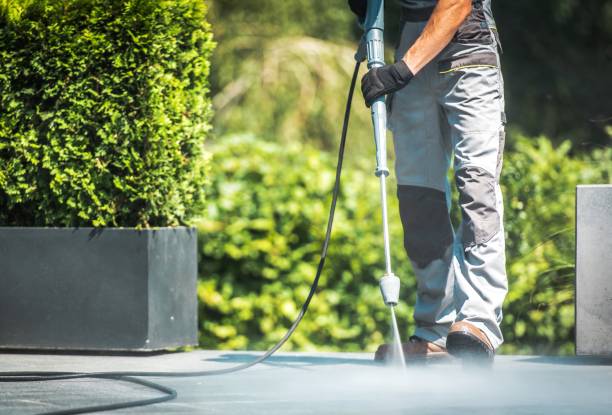 Best Paint Preparation  in Hlcrest, IL